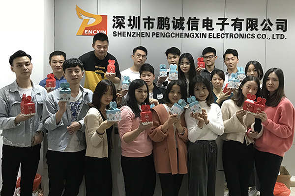 深圳市鹏诚信电子有限公司--节目活动